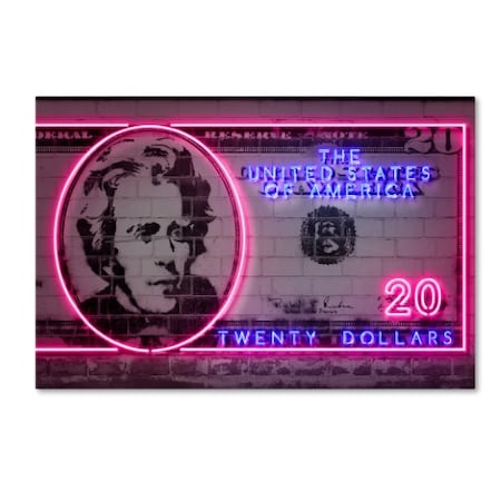 Octavian Mielu '20 Dollars' Canvas Art,30x47